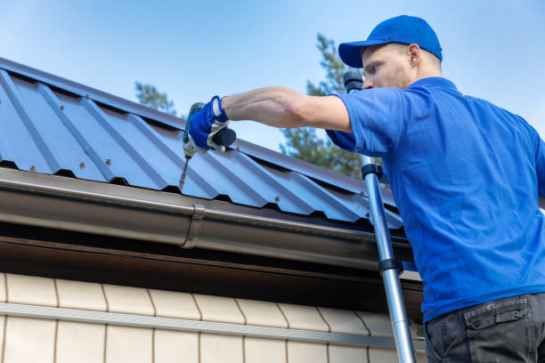 Best Roof Maintenance and Cleaning  in Sturgis, SD